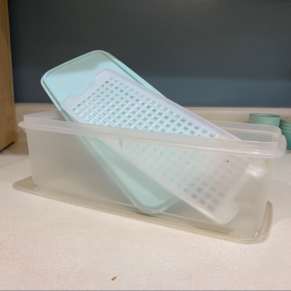 Tupperware Lidded Storage container (celery keeper with insert)